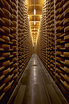 Comte cheese aging in a Jura cave.